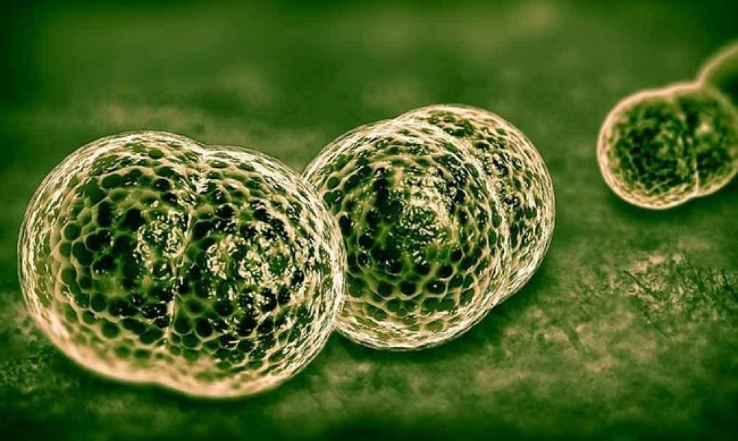 Μηνιγγίτιδα: 5 συμπτώματα που όλοι πρέπει να γνωρίζουμε