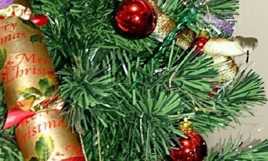 Τι κάνει ένα φίδι τυλιγμένο σε χριστουγεννιάτικο δέντρο