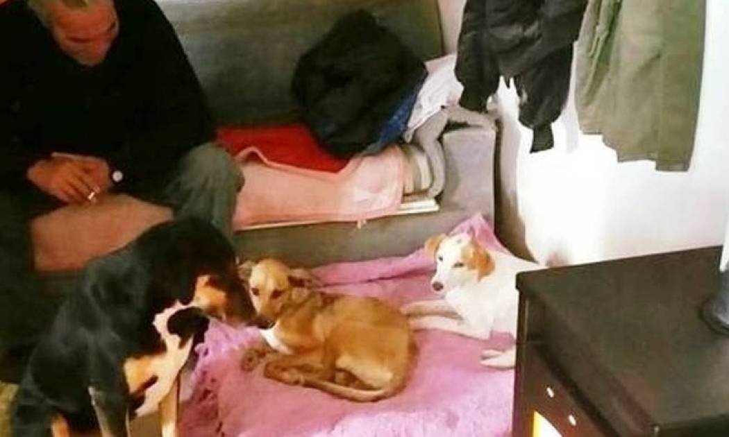 Το θαύμα του Αλέξανδρου, δεν τελειώνει τα Χριστούγεννα!