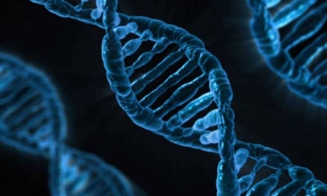 Επανάσταση στην ιατρική: Ανάλυση του DNA μέσω κινητού τηλεφώνου