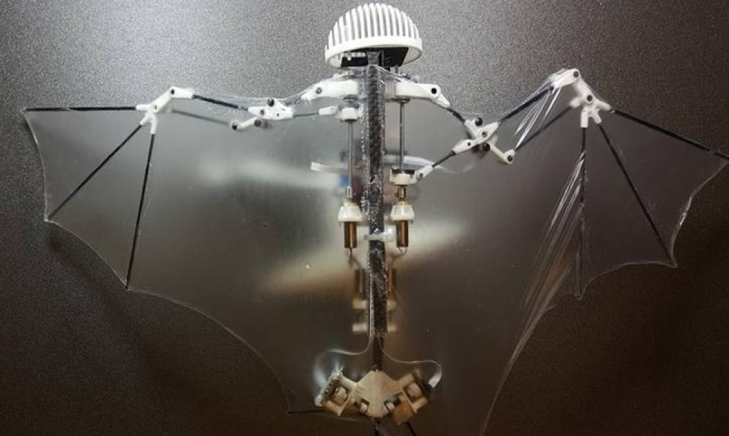 Δημιουργήθηκε το πρώτο ρομπότ-νυχτερίδα (vid)