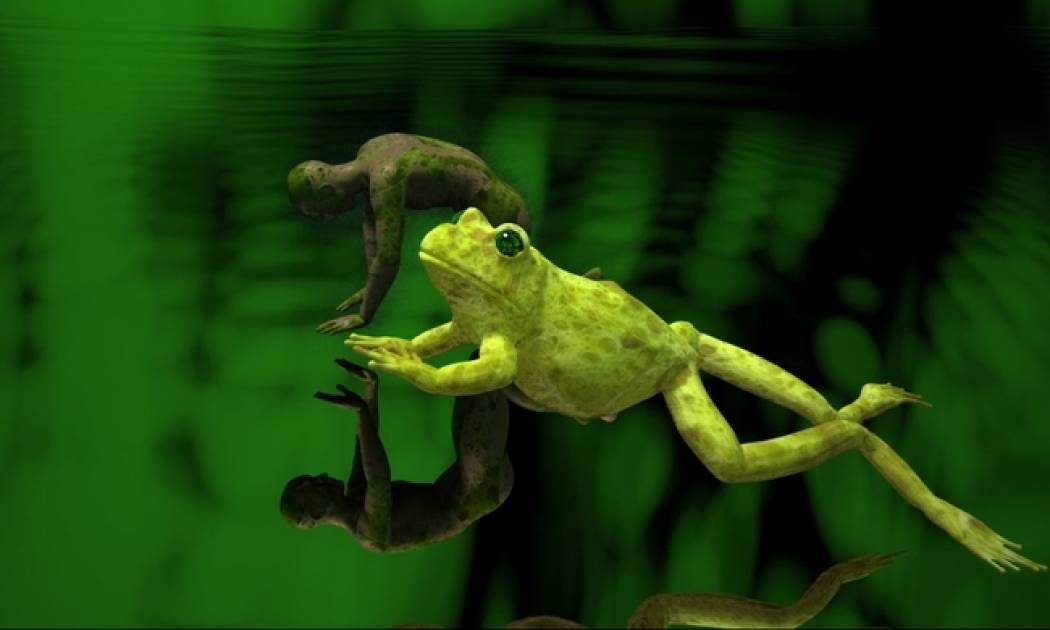 Paratoxic Paradoxes: Ομαδική έκθεση στο Μουσείο Μπενάκη