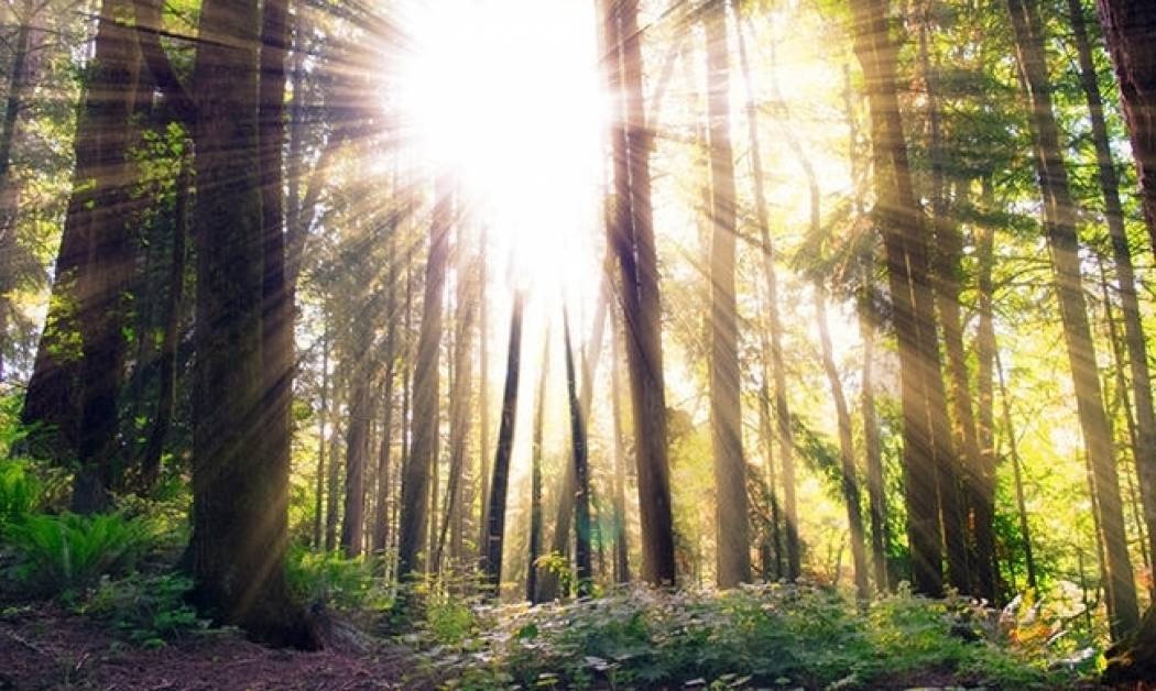 Αστρολογικό δελτίο για όλα τα ζώδια, από 24/3 έως 28/3