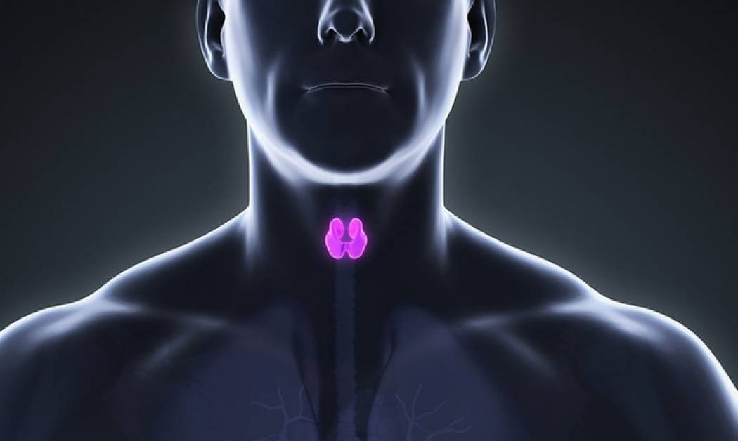 Οικιακή σκόνη: Πόσο αυξάνει τον κίνδυνο καρκίνου του θυρεοειδούς