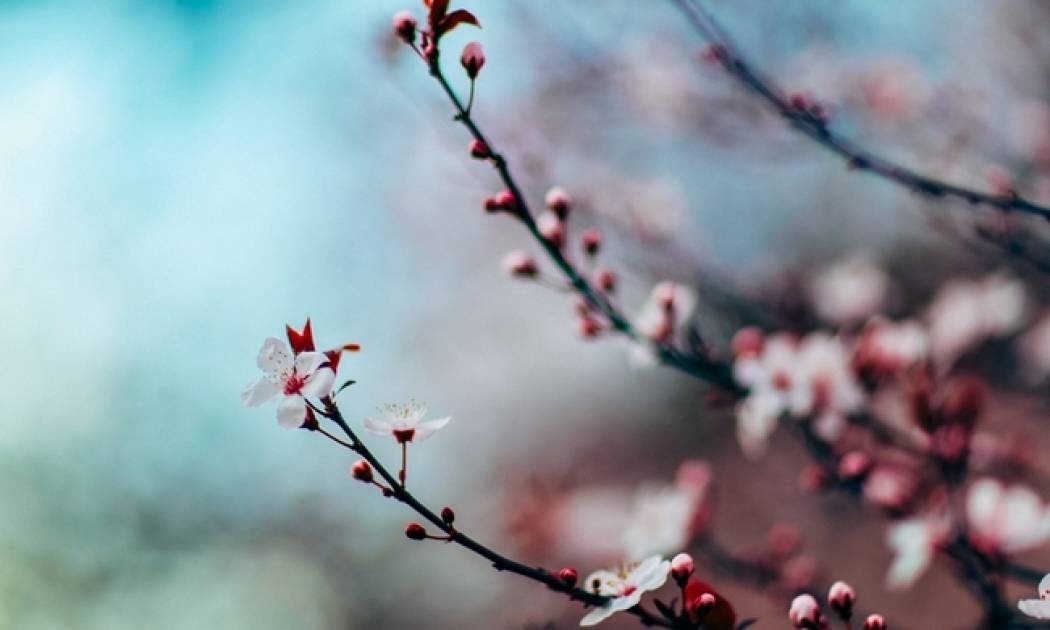 Ημερήσιες προβλέψεις για όλα τα ζώδια για την Τετάρτη 5/4