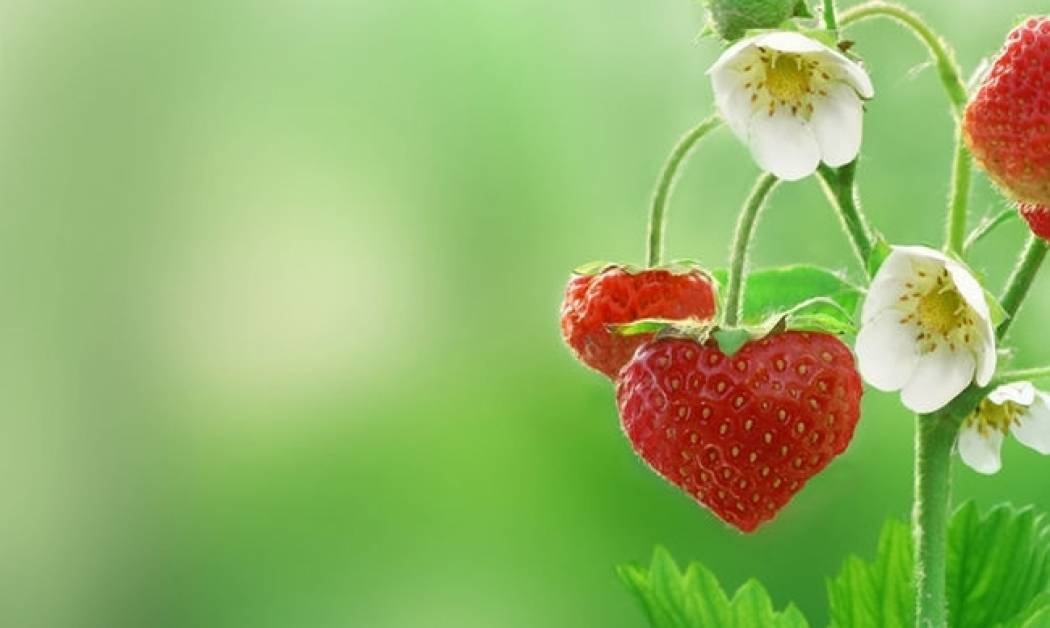 Ερωτικές Προβλέψεις για όλα τα Ζώδια, 5/4