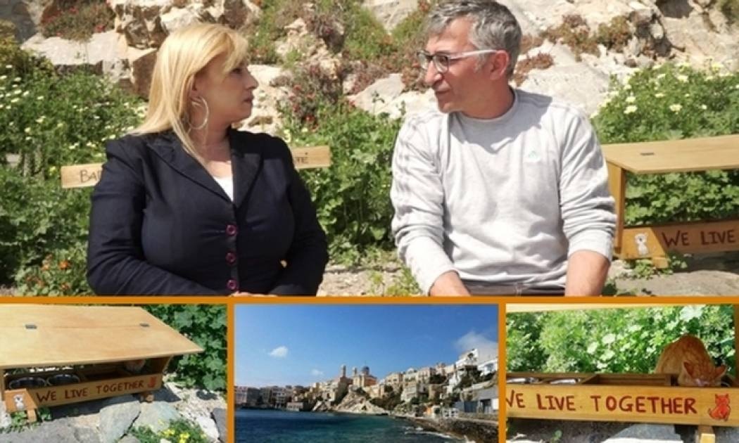 Τα «Καφέ της Γάτας» στη Σύρο