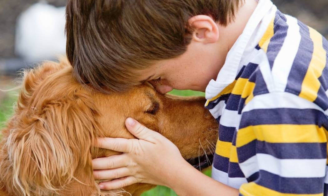 Κατοικίδια: Πώς ωφελούν την υγεία των παιδιών