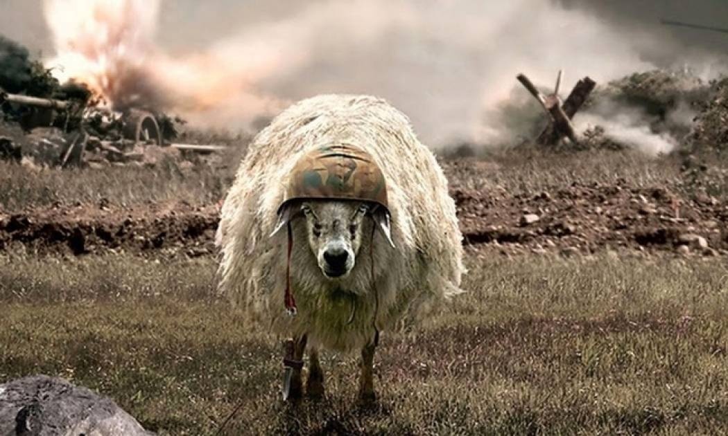 Δείτε τι σκέφτονται τα αρνιά λίγο πριν από τη Σούβλα!