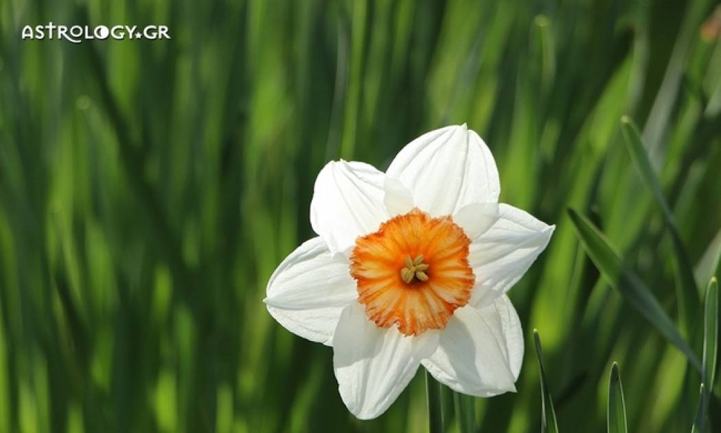 Ημερήσιες προβλέψεις για όλα τα ζώδια για την Τετάρτη 26/4