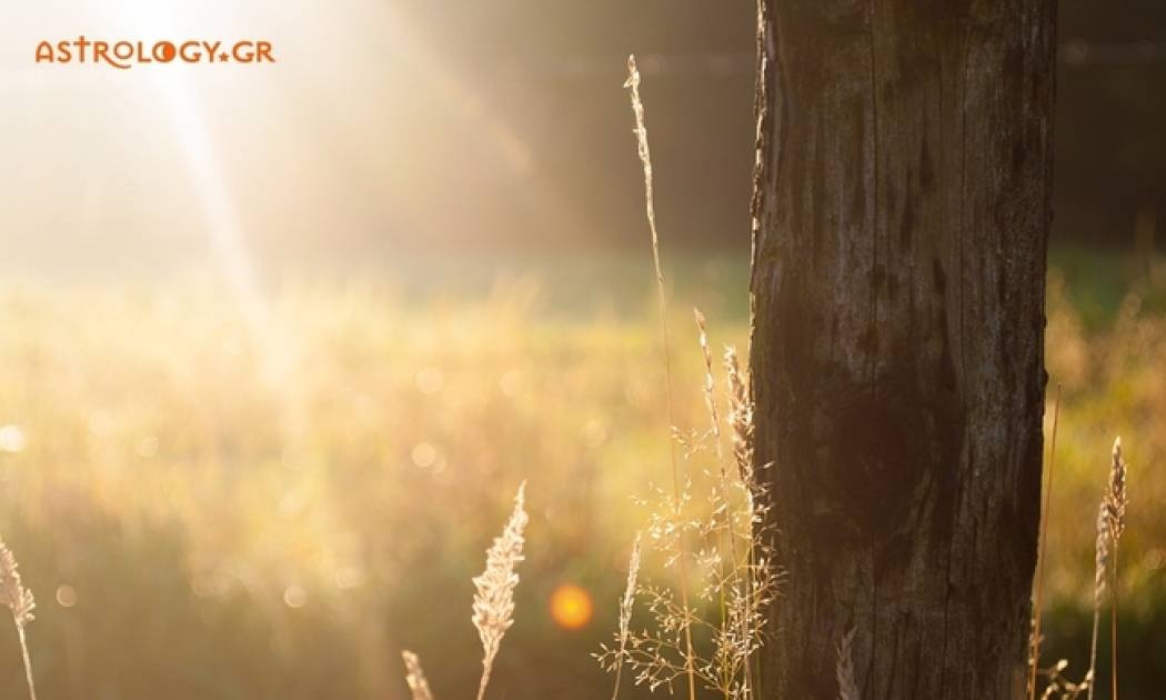 Ημερήσιες προβλέψεις για όλα τα ζώδια για την Δευτέρα 15/5