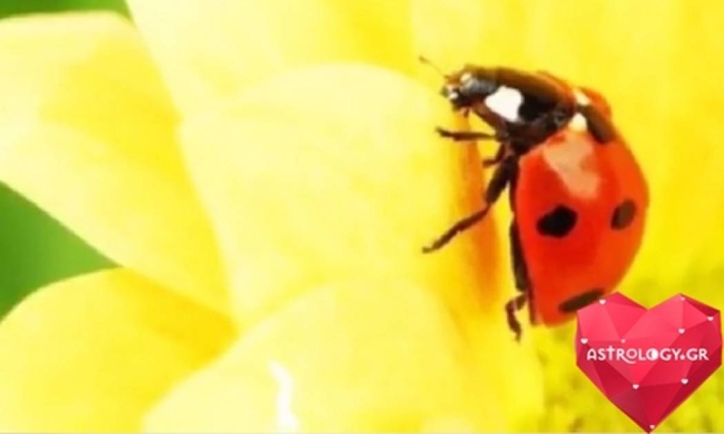Ζώδια Σήμερα: Σελήνη στον Αιγόκερω