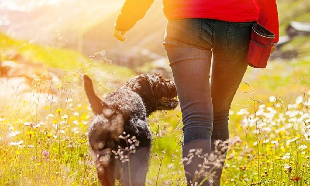 Ημερήσιες προβλέψεις για όλα τα ζώδια για την Τετάρτη 17/5