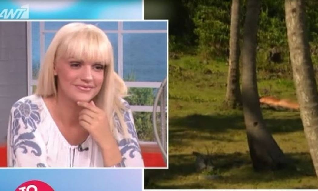 Χαμός στο Πρωινό με την… «φεγγαράδα» του Σπαλιάρα