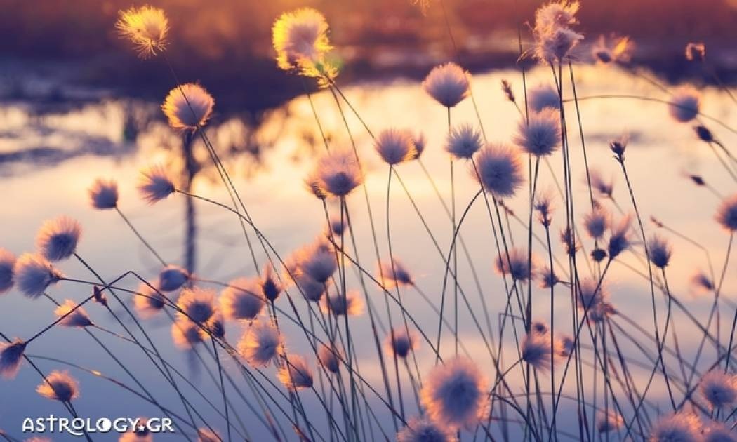 Ημερήσιες προβλέψεις για όλα τα ζώδια για την Παρασκευή 7/7