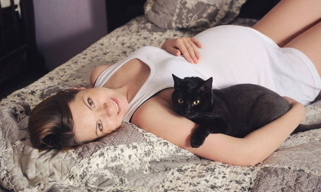 Τοξοπλάσμωση και εγκυμοσύνη: Τι κινδύνους κρύβει; (vid)