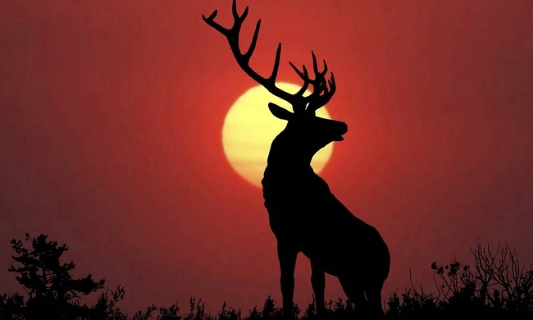 5 σημάδια που δείχνουν ότι θα σε κερατώσει