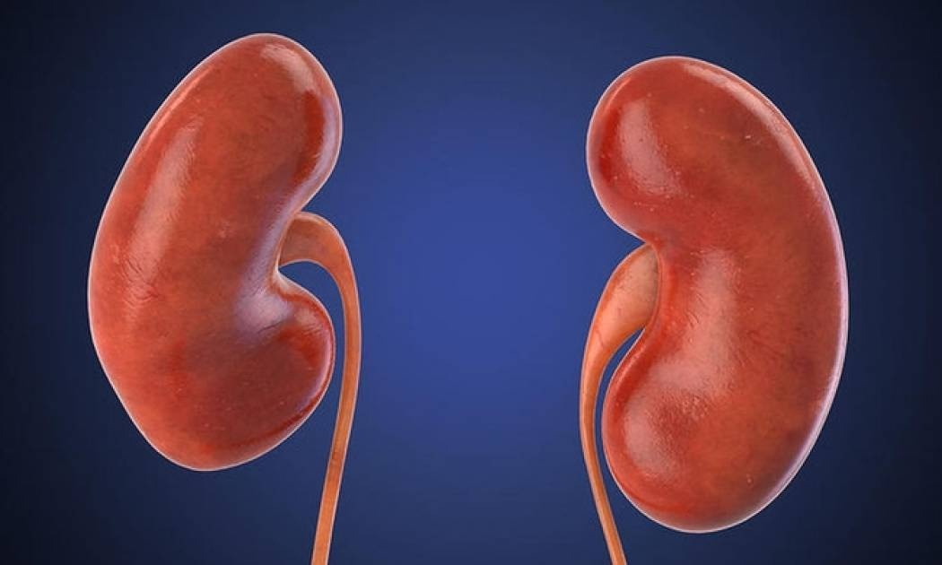 Πέτρα στο νεφρό: Γιατί είναι πιθανότερη το καλοκαίρι