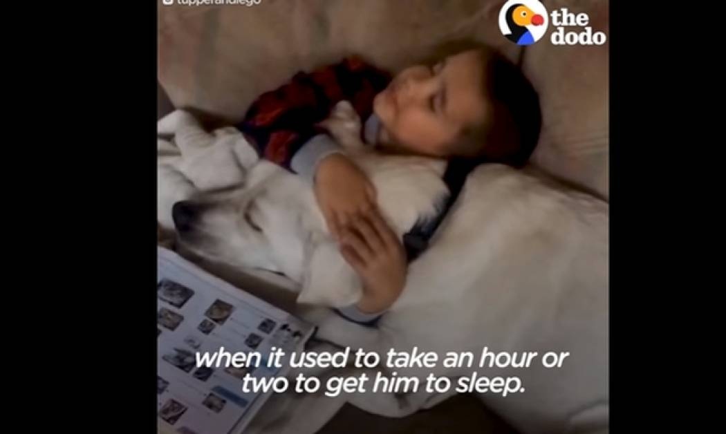 Το πιο συγκινητικό βίντεο: Σκύλος βοηθάει παιδάκι με αυτισμό