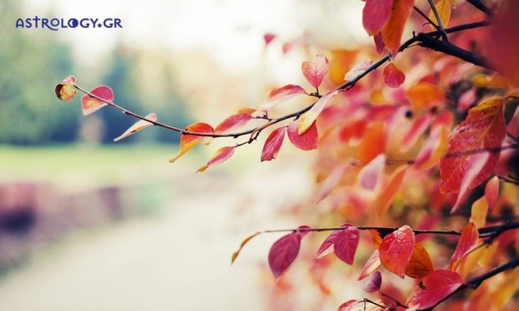 Ημερήσιες προβλέψεις για όλα τα ζώδια για την Κυριακή 24/9