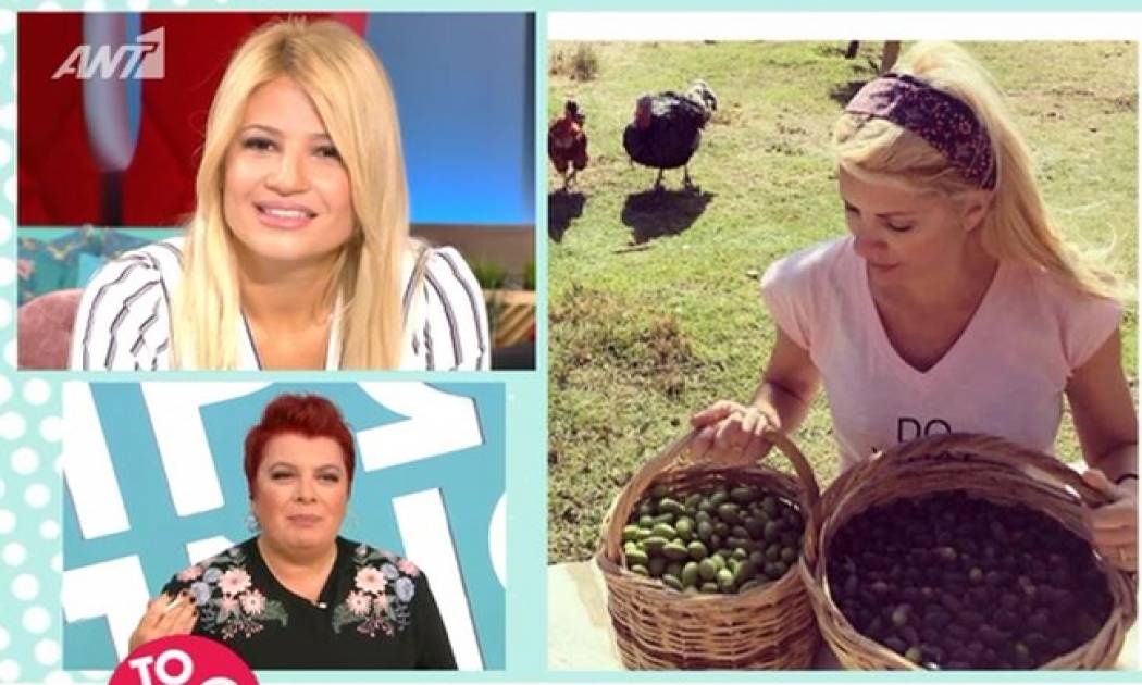 Η Φαίη Σκορδά σχολιάζει τα αγγλικά της Ελένης Μενεγάκη στο instagram