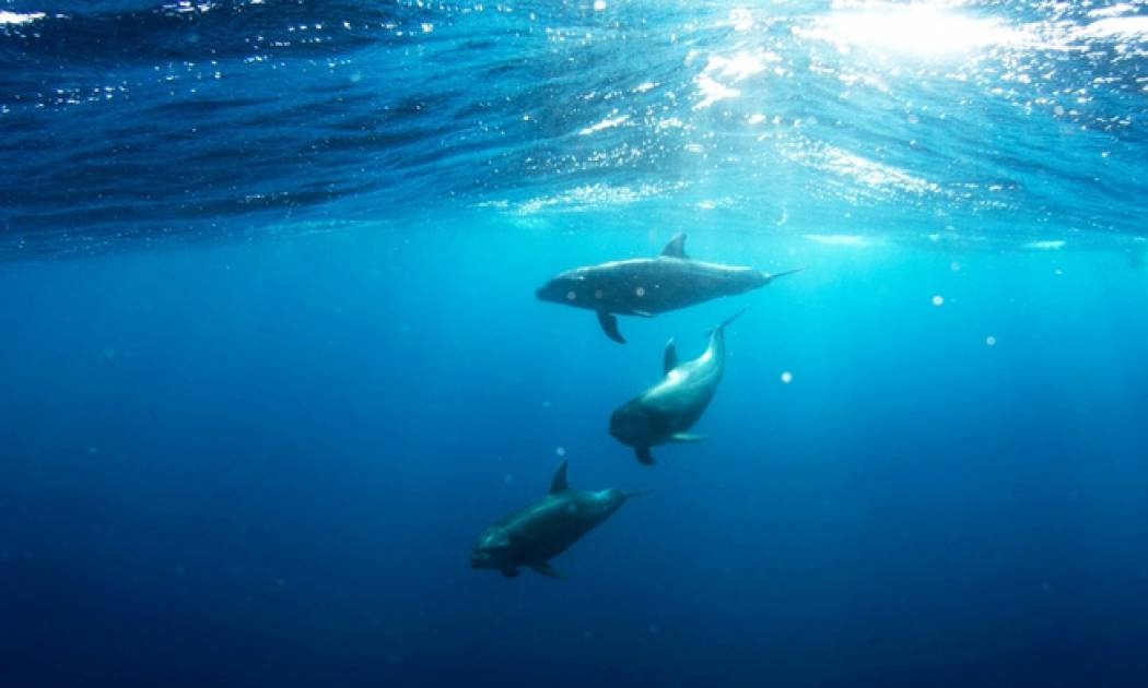 Το απέραντο γαλάζιο είναι λίγο για να περιγράψει αυτό το ντοκιμαντέρ