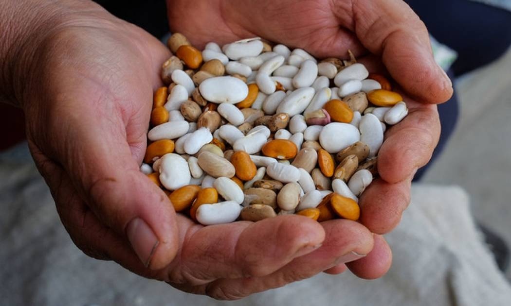 Τροφές με λεκτίνες: Οι επιπτώσεις στην υγεία - Πού υπάρχουν