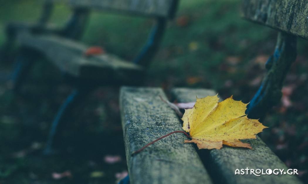 Ημερήσιες Προβλέψεις για όλα τα Ζώδια 25/11