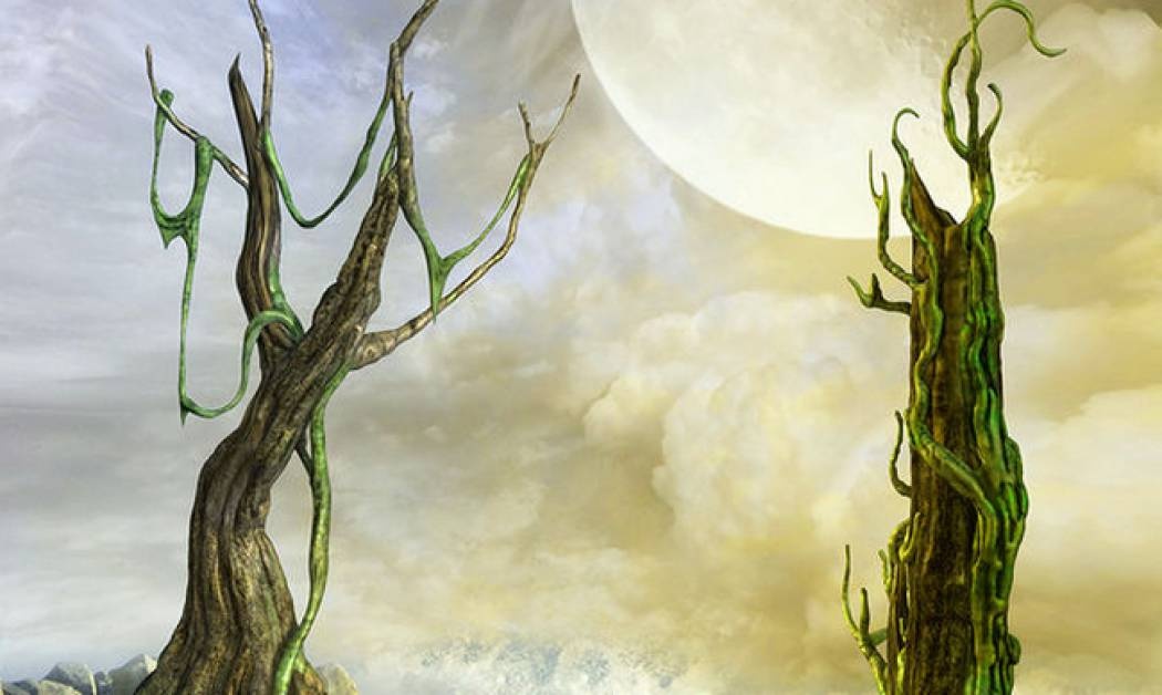 Αστρολογικό δελτίο για όλα τα ζώδια, από 1/12 έως 4/12