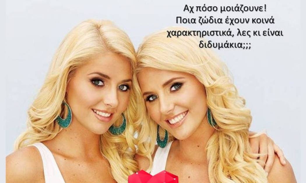 Αυτές είναι οι πιο χαρακτηριστικές ομοιότητες των ζωδίων!