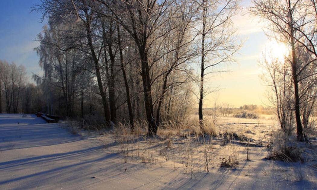 Ημερήσιες Προβλέψεις για όλα τα Ζώδια 03/02