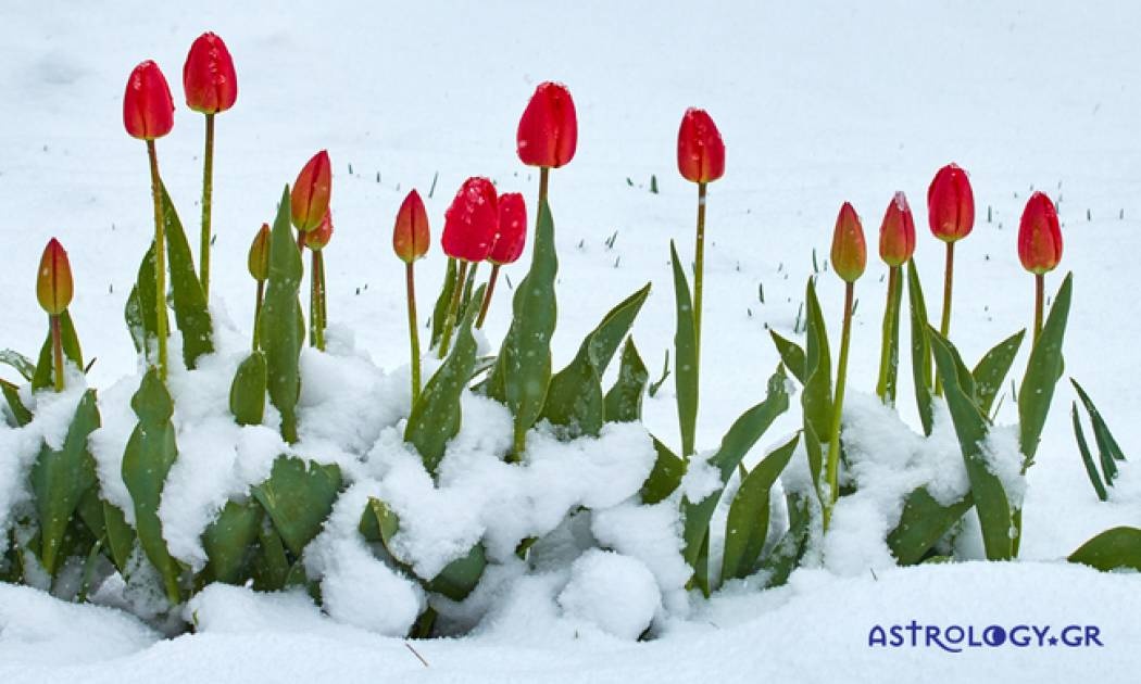 Ημερήσιες Προβλέψεις για όλα τα Ζώδια 06/02