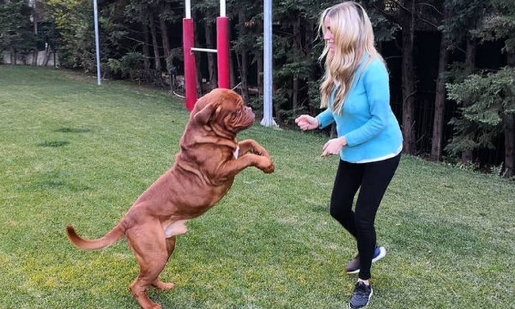 Δούκισσα Νομικού: Ανυπομονεί για τον γιο της! Δείτε το βιντεάκι που δημοσίευσε