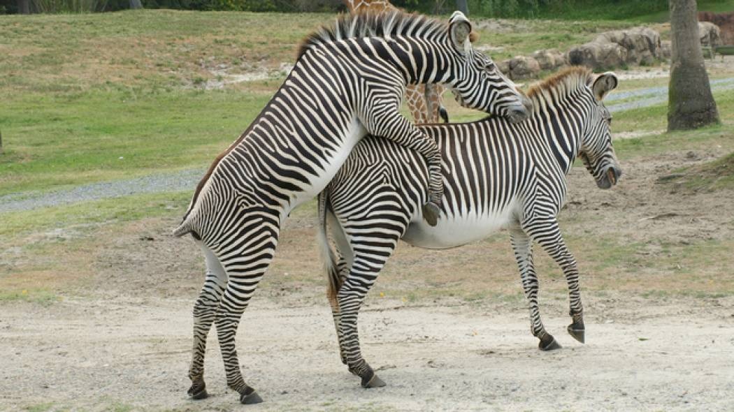 Τελικά αρέσει στις γυναίκες το σεξ σε δημόσιους χώρους;
