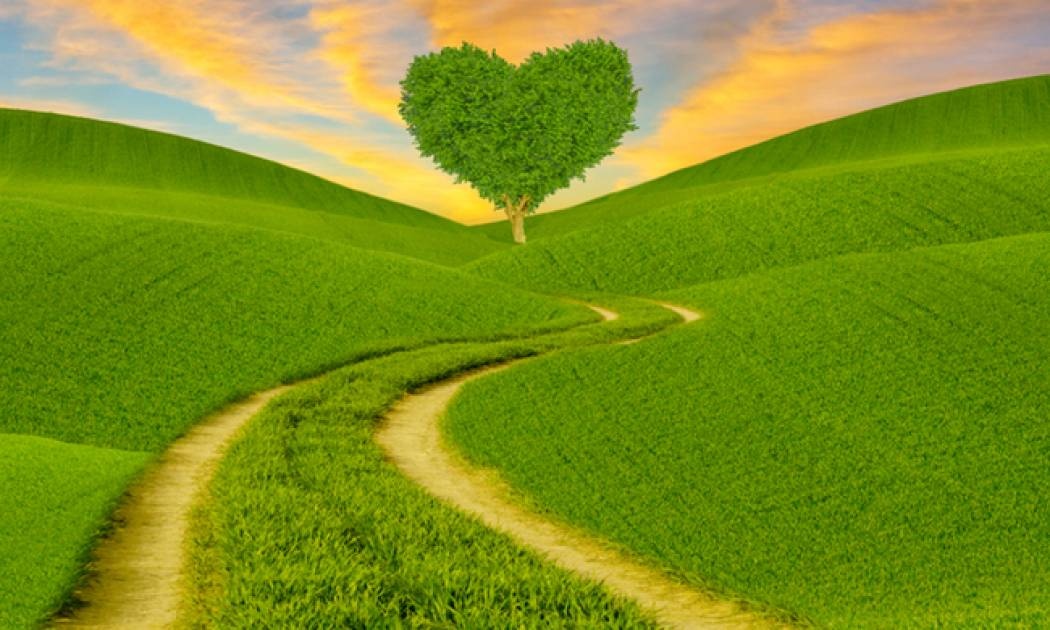 Ερωτικές Προβλέψεις για όλα τα Ζώδια, 25/03