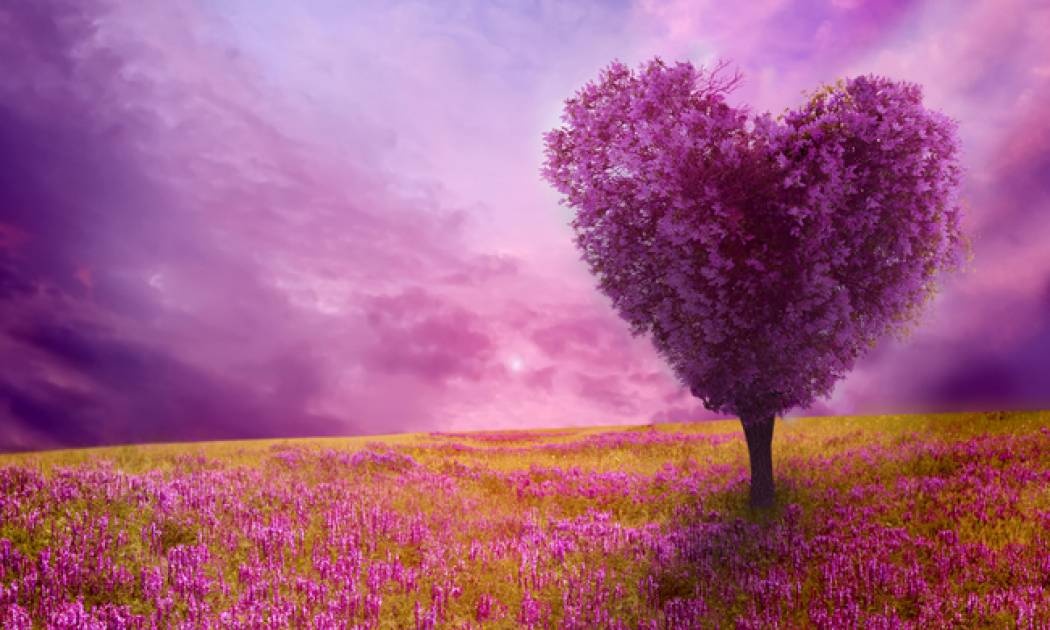 Ερωτικές Προβλέψεις για όλα τα Ζώδια, 26/03