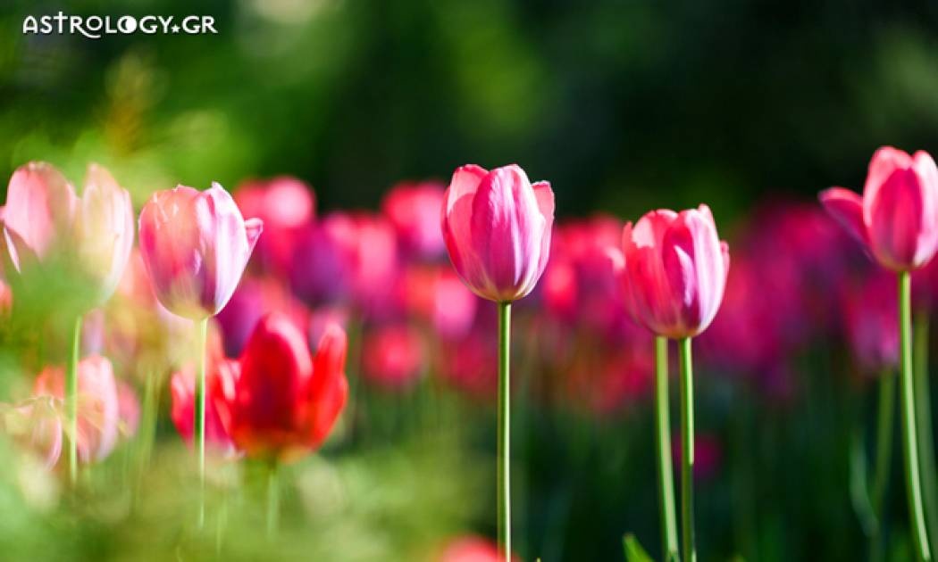Ημερήσιες Προβλέψεις για όλα τα Ζώδια 10/04