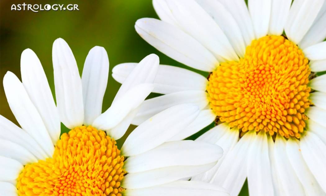 Ερωτικές Προβλέψεις για όλα τα Ζώδια, 09/04