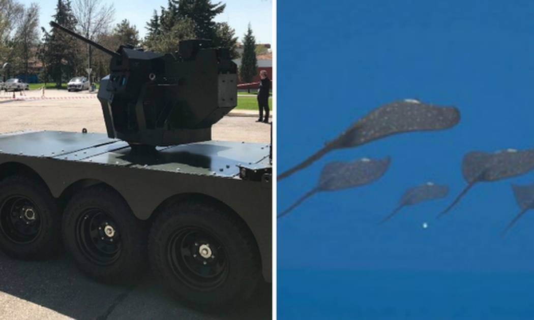 «Σαλάχια» στο Αιγαίο και «ταραντούλες» στον Έβρο ρίχνουν οι Τούρκοι κατά της Ελλάδας