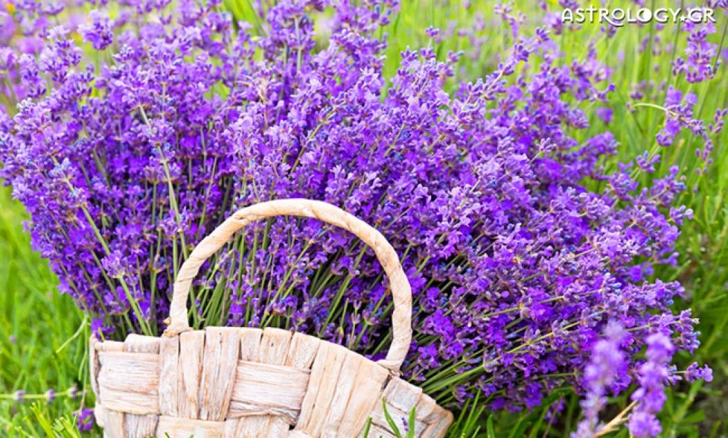 Ημερήσιες Προβλέψεις για όλα τα Ζώδια 03/05