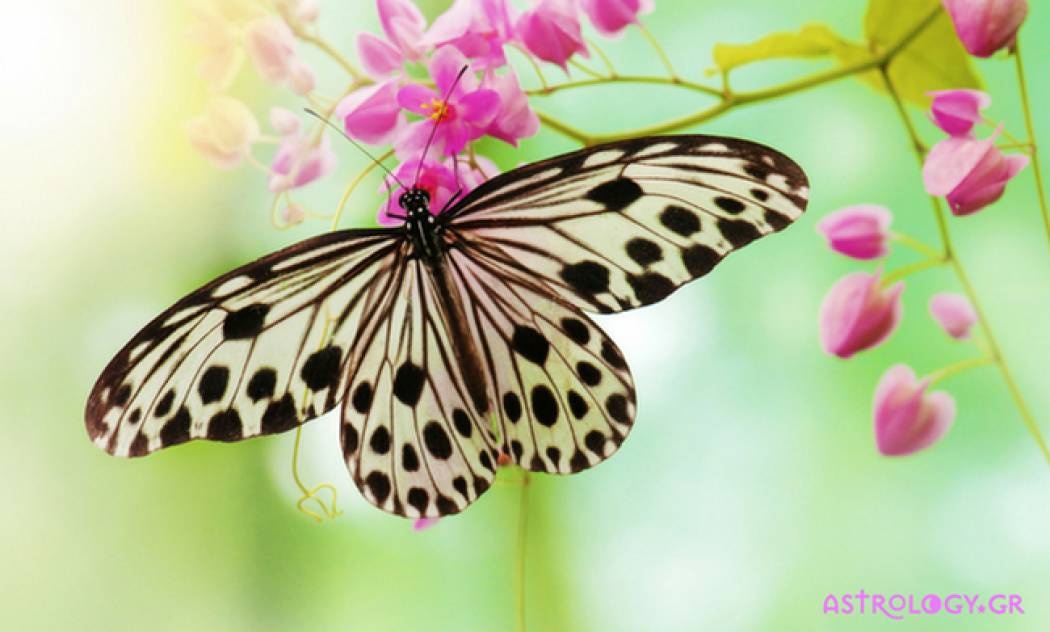 Ζώδια Σήμερα 28/4: Συμβιβασμοί και υποχωρήσεις