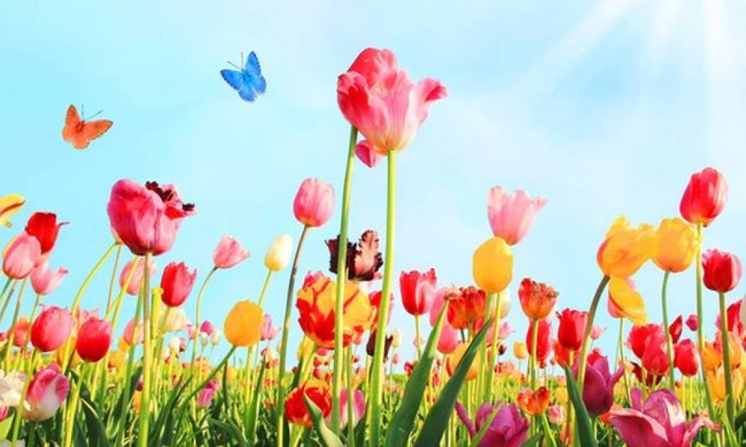 Τι λένε τα άστρα για τον Μάιο 2018;