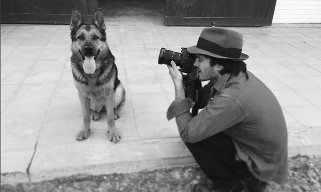 Οι διάσημοι σε απίθανες φωτογραφίες με τα κατοικίδια τους