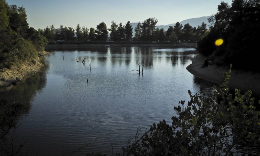 Λίμνη Μπελέτσι: Ένας σημαντικός υδροβιότοπος στους πρόποδες της Πάρνηθας