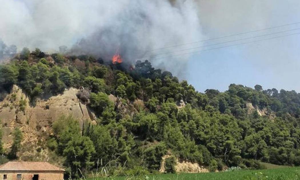 Φωτιά: Μεγάλη πυρκαγιά στην Αμαλιάδα - Εκκενώνεται χωριό