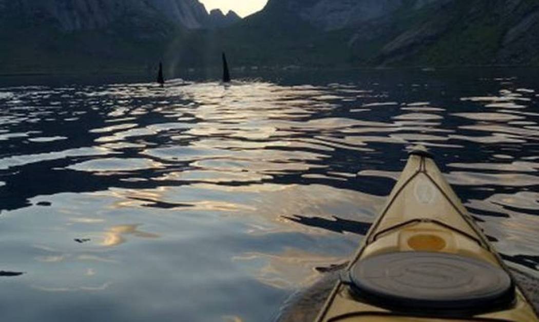 Φάλαινες- δολοφόνοι κολυμπούν δίπλα σε καγιάκερς (vid)