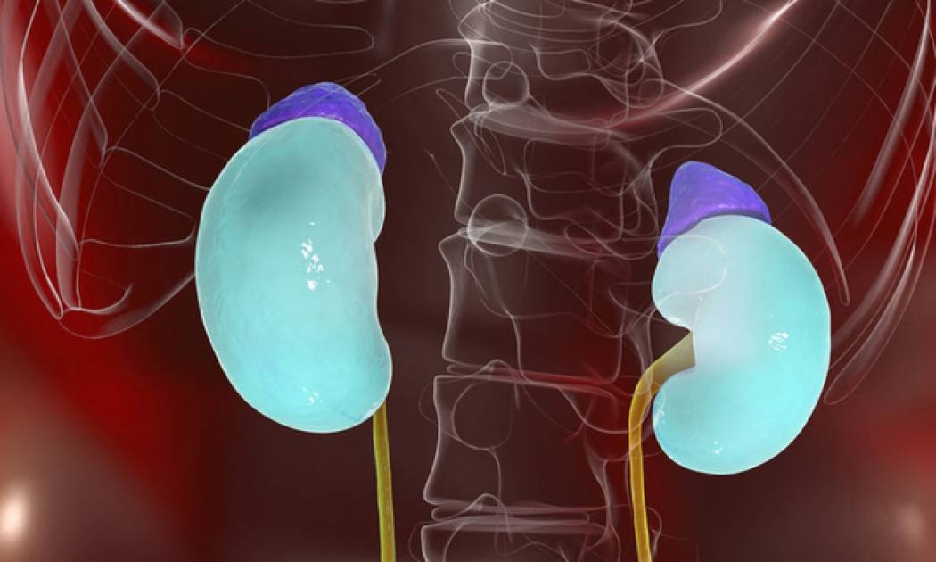 Νόσος του Addison: Τα συμπτώματα της νόσου που προσβάλλει τα επινεφρίδια