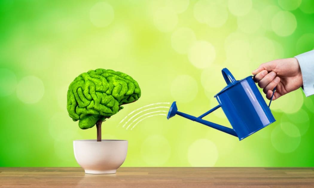 Πώς θα τονώσετε τη μνήμη σας σε 10 λεπτά