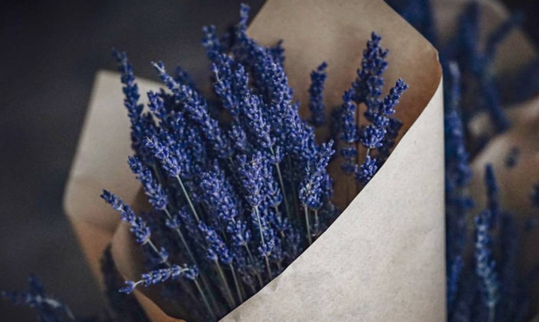 DIY: Φτιάξε πουγκιά που διώχνουν το σκόρο από τα ρούχα που αποθηκεύεις