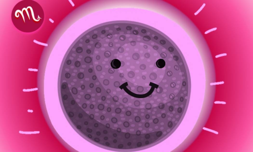 Είναι γεννημένος ντεντέκτιβ και μπορεί να το αποδείξει!